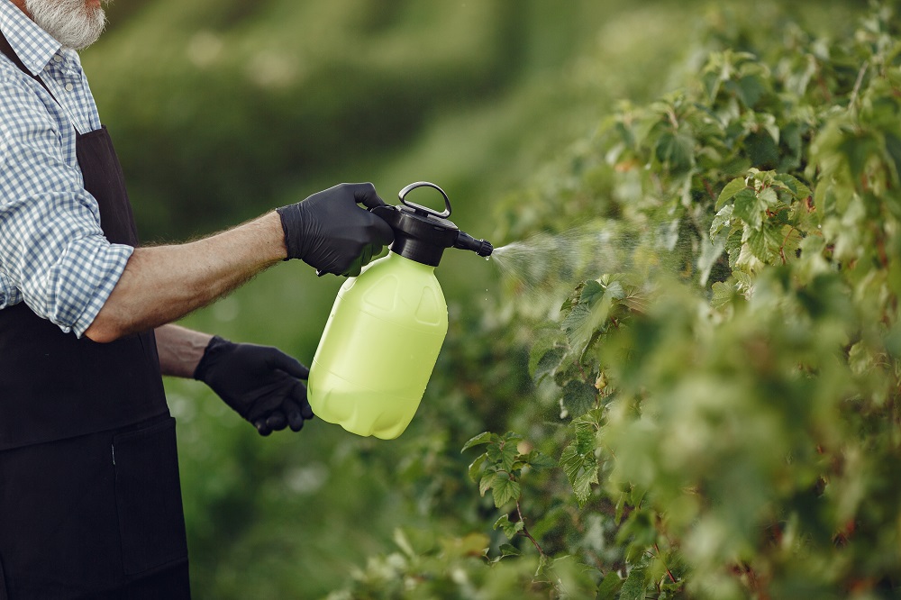 farmer-spraying-vegetables-garden-with-herbicides-man-black-apron.jpg